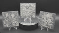 Pokémon BWR Slate Coaster Set