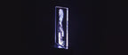Satoru Gojo Acrylic Sign